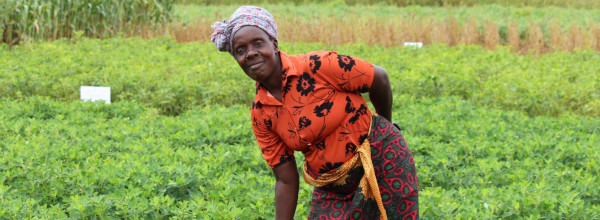 Farmer Technical Training